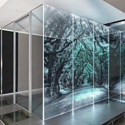 Laminated Glass with Picture Interlayer