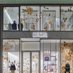 Dior Fabric Laminated Glass Wall Elevator Panel