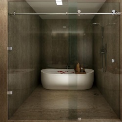 G Series Glass Shower Barn Door